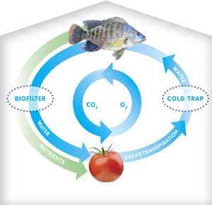 INAPRO schema