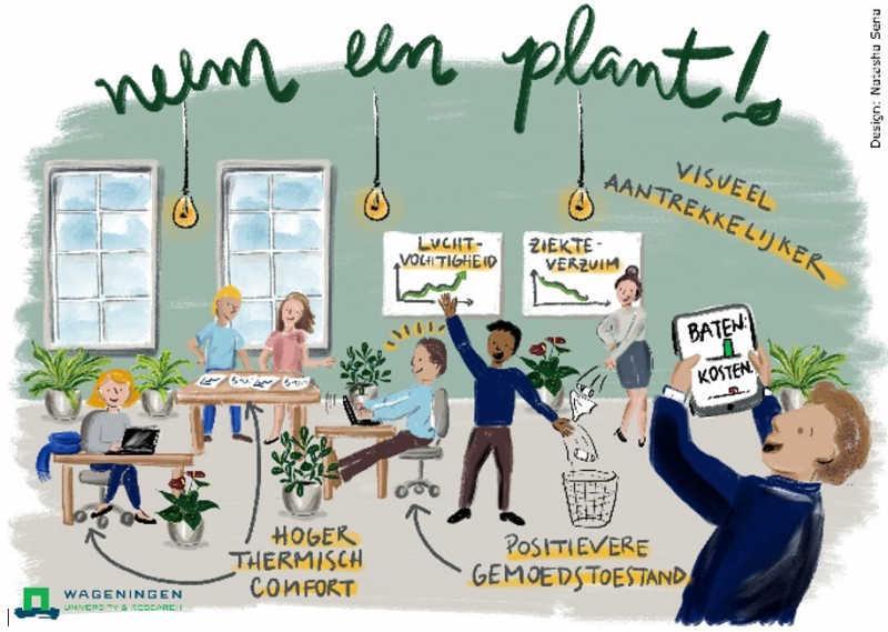 Minder ziekteverzuim op de werkvloer? Neem een plant!