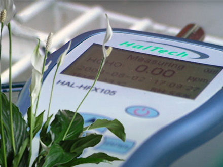 Air-Purifying Properties of Plants