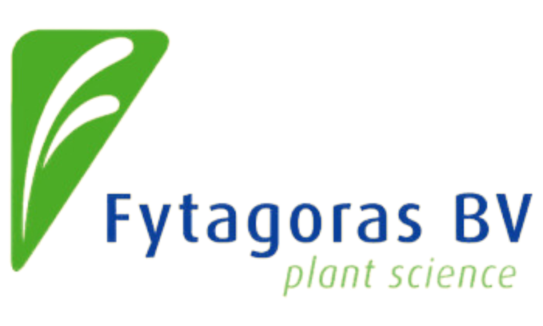Fytagoras